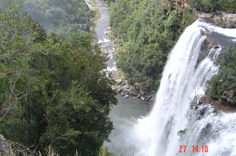DSC01365
