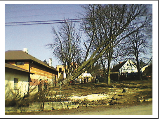 park_krchleby_2